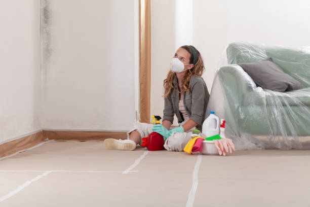 Reliable Mold Remediation contractor in Berkeley, IL by WQB Mold Removal